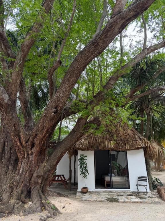Cabanas Camping Ria Селестун Екстер'єр фото